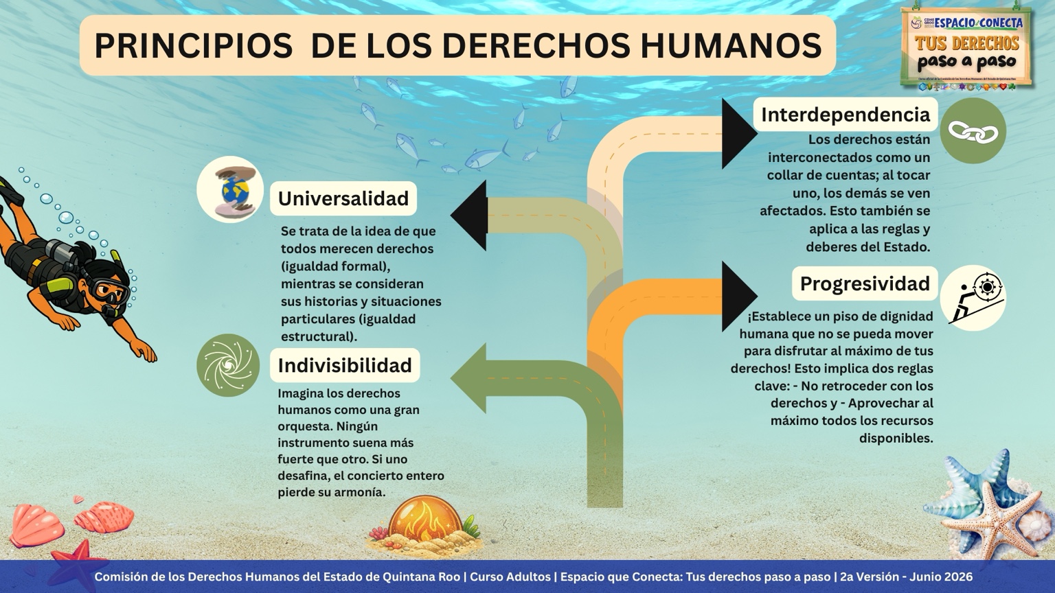 Infografía submarina sobre universalidad, indivisibilidad, interdependencia y progresividad. Luz aparece buceando en el lado izquierdo.